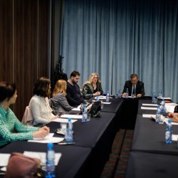 A consultative meeting for the establishment of reference/crisis centers for victims of rape and sexual violence was held in Sarajevo