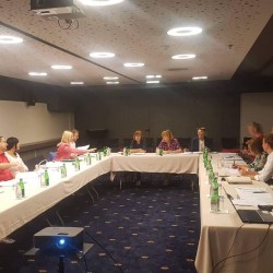 A round table was held on the topic: "Proposals for harmonizing the FBiH criminal legislation with the standards of the Istanbul Convention"